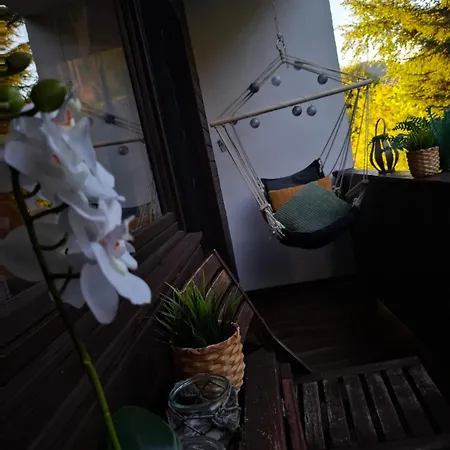 Am Bischofsberg Lejlighed Edlbach