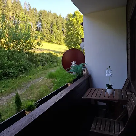 Am Bischofsberg Apartament